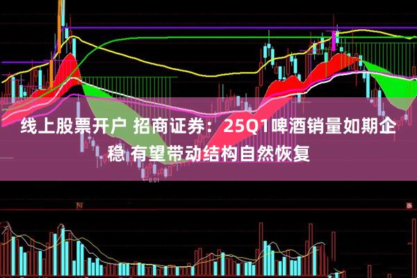 线上股票开户 招商证券：25Q1啤酒销量如期企稳 有望带动结构自然恢复